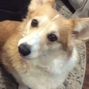 Meet your Posher, Jordan